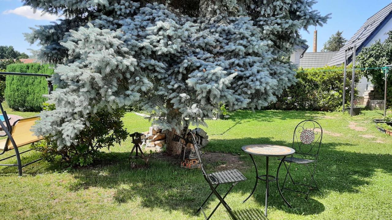 Ferienwohnung Koenig Niedergurig Bei Bautzen Malschwitz Экстерьер фото